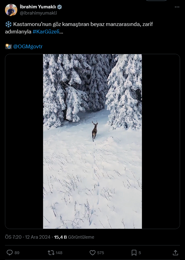screenshot-2024-12-13-at-15-22-05-1-xte-ibrahim-yumakli-kastamonunun-goz-kamastiran-beyaz-manzarasinda-zarif-adimlariyla-karguzeli-ogmgovtr-https-t-co-5oei4x7dqs-x.png