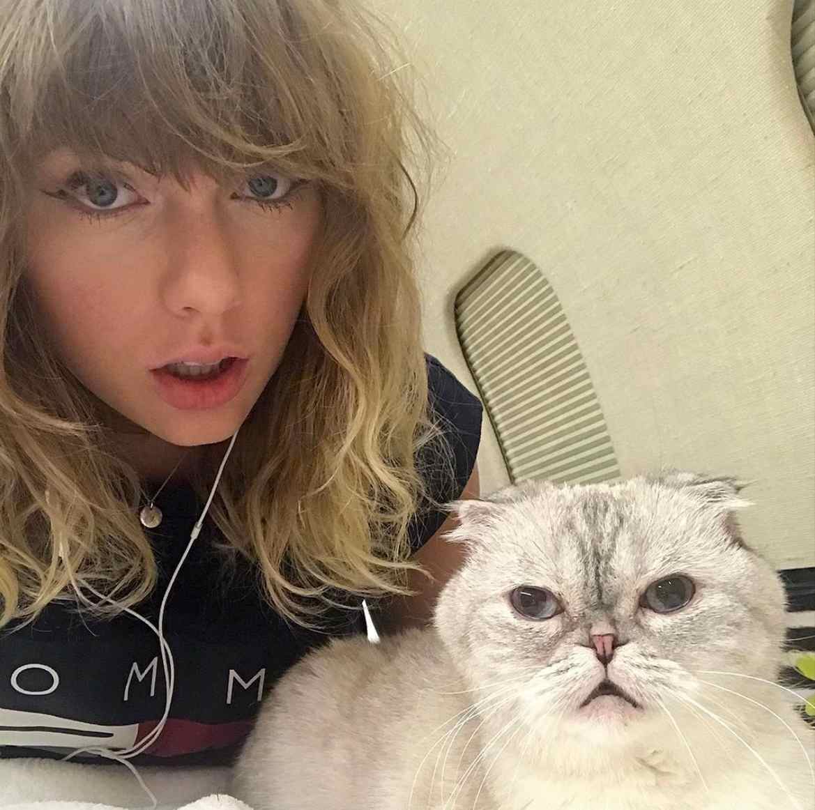 taylor-swift-cat-olivia-benson-springtide-11zon.jpg