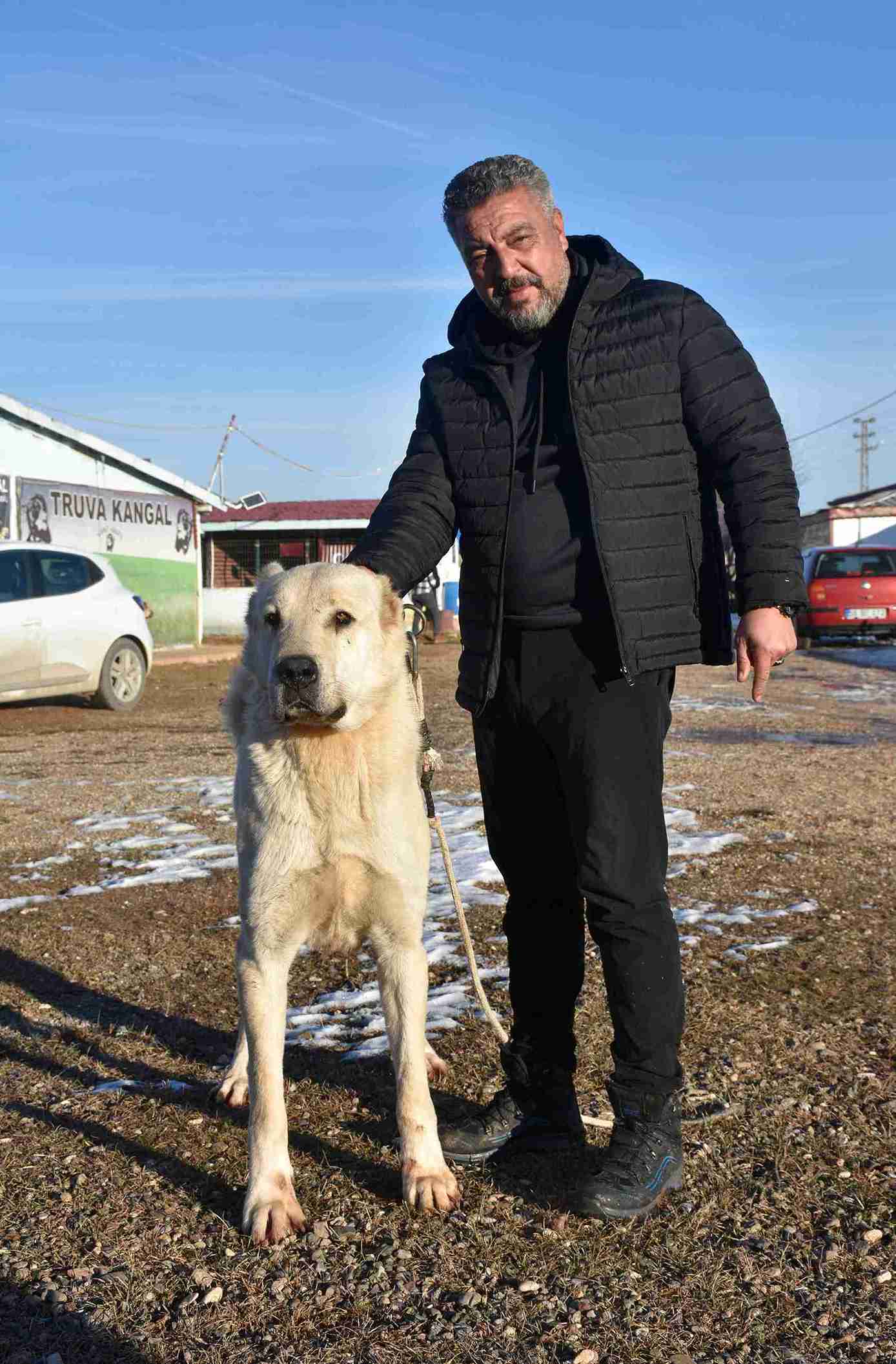 kangal-kopegi-sevdasini-safkan-uretim-509091-150708-11zon.jpg