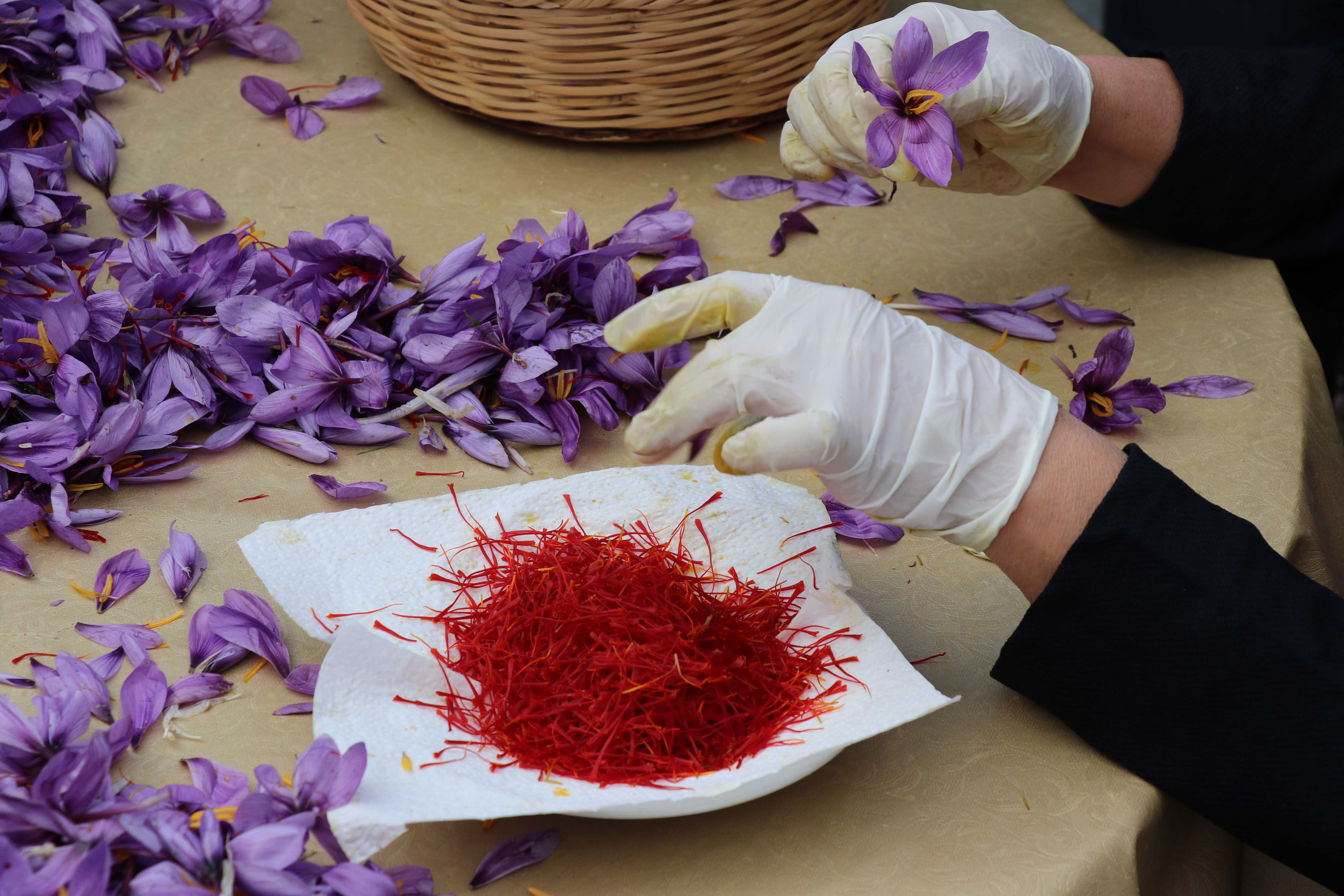 Karabük'te Tıbbi Aromatik Bitkiler Projesi ile Tarımda Değişim