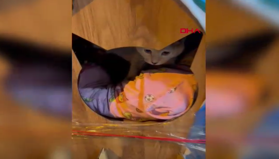 ekran-goruntusu-2025-01-12-151726.png