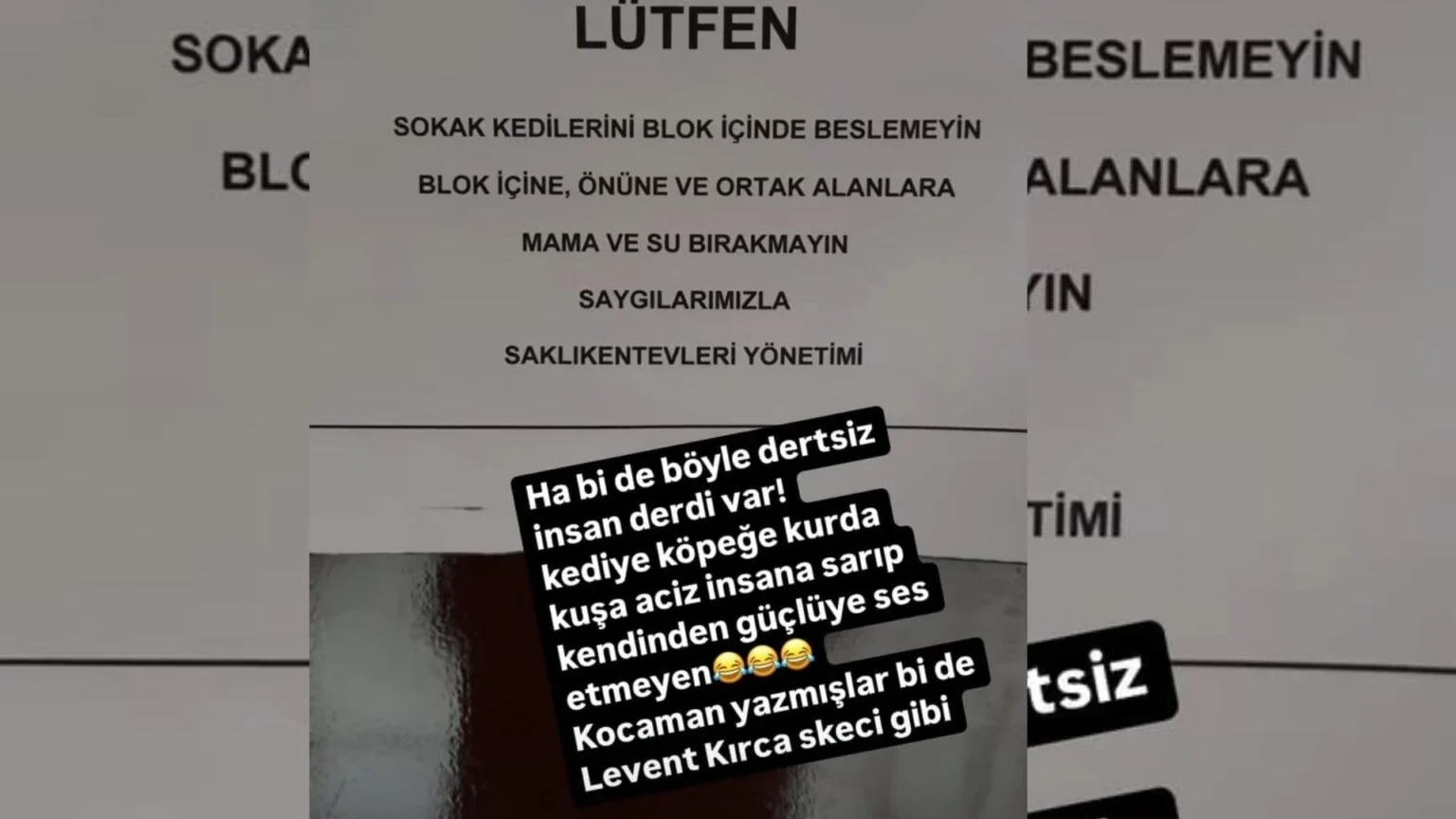 nurgul1jpegjpg-hf4a6ge7skmiqg10xu-qiq.webp