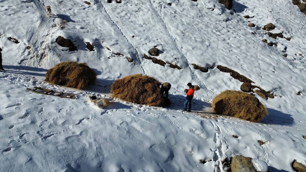 koyluler-yazin-hayvanlari-icin-topladik-538535-159610-11zon.jpg