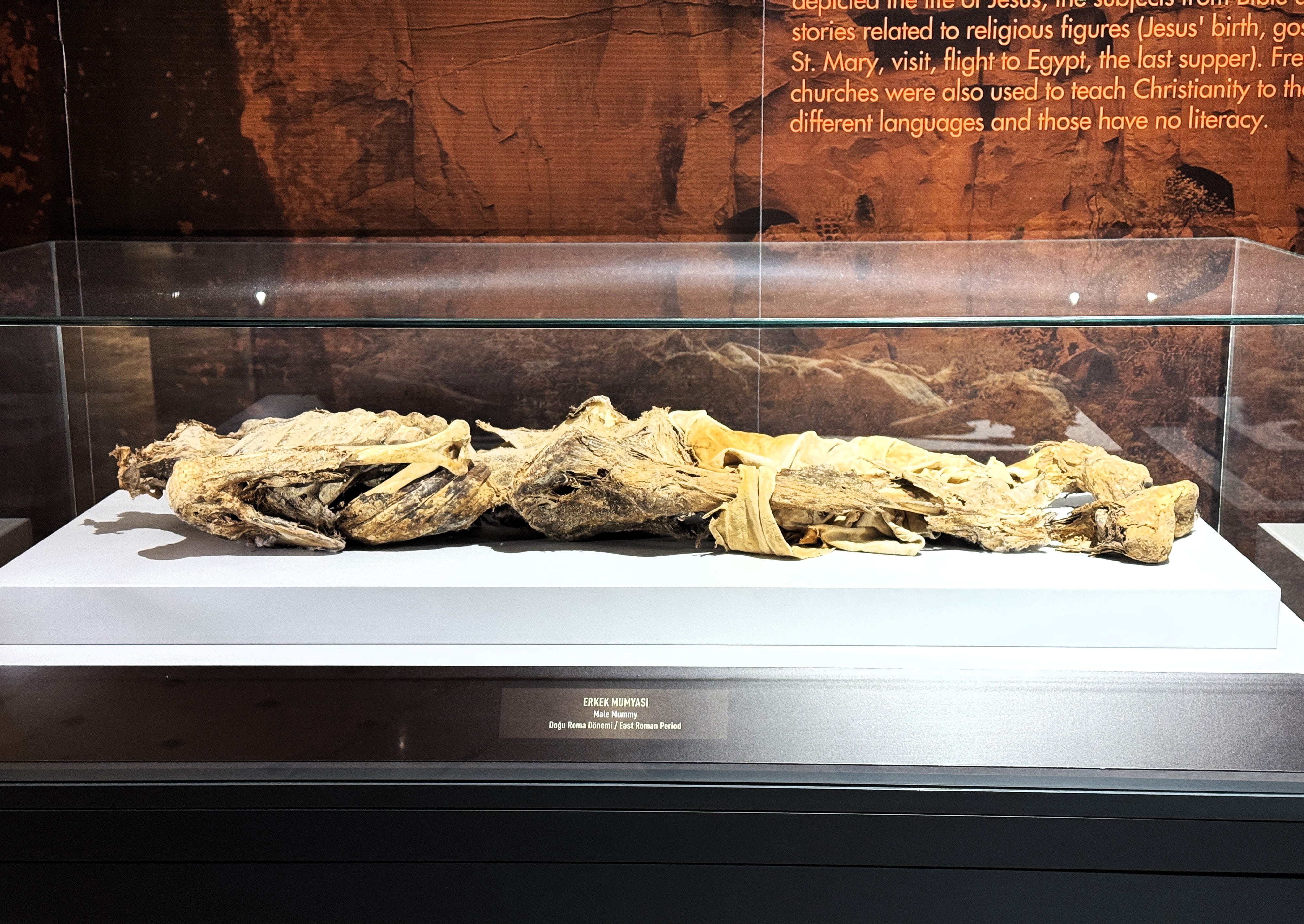 aa-20250201-36925411-36925402-aksaray-muzesindeki-mumyalar-iklimlendirme-yontemiyle-korunuyor-min.jpg
