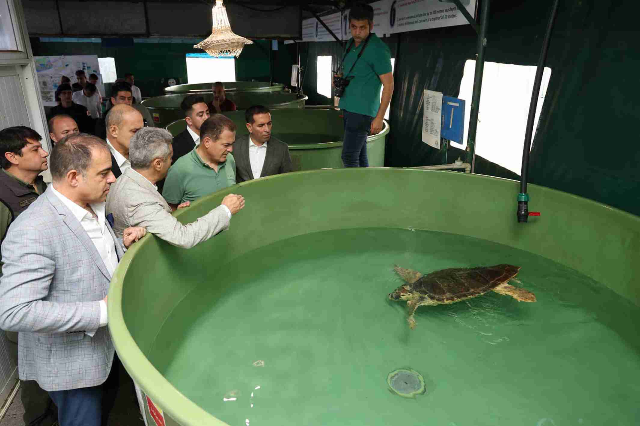 caretta-caretta-lansinohun-rotasini-18-546327-161961-11zon.jpg