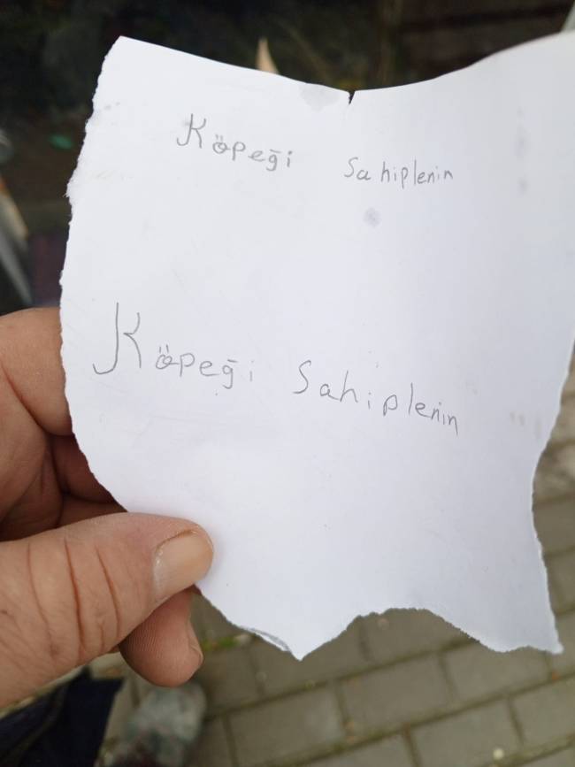 yavru-kopegi-sahiplenin-notuyla-sokag-561127-166274.jpg
