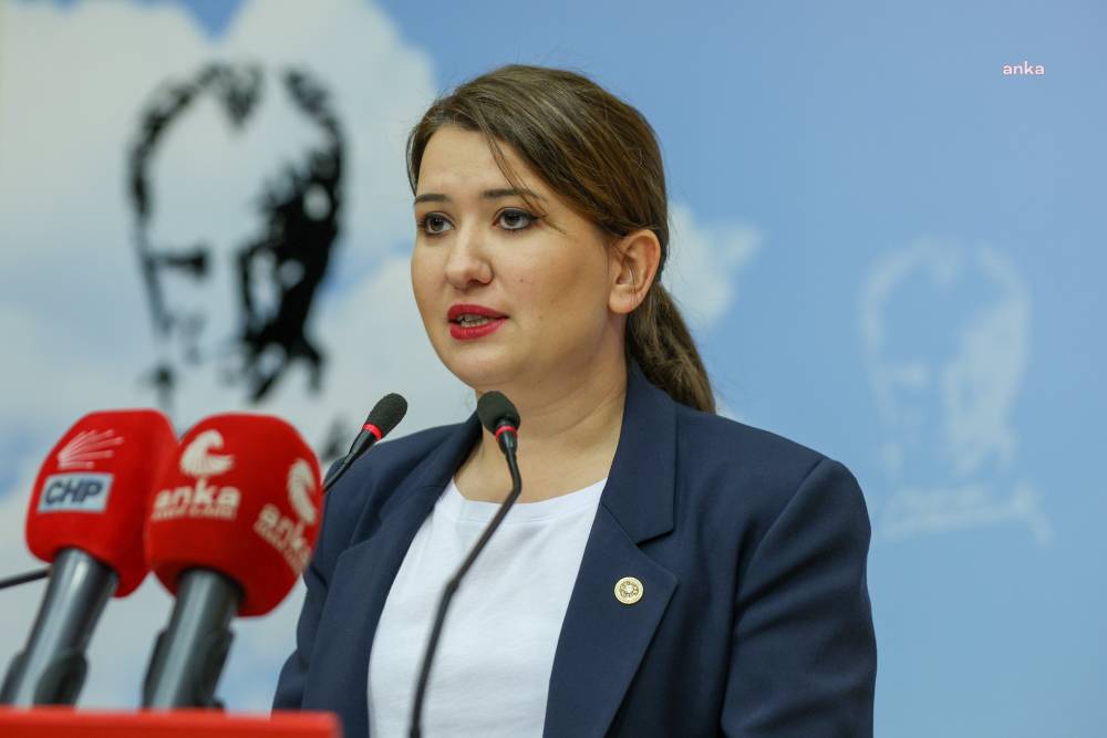 CHP'li Gökçen'den AKP Sarıçam'a tepki: Rezil bir açıklama