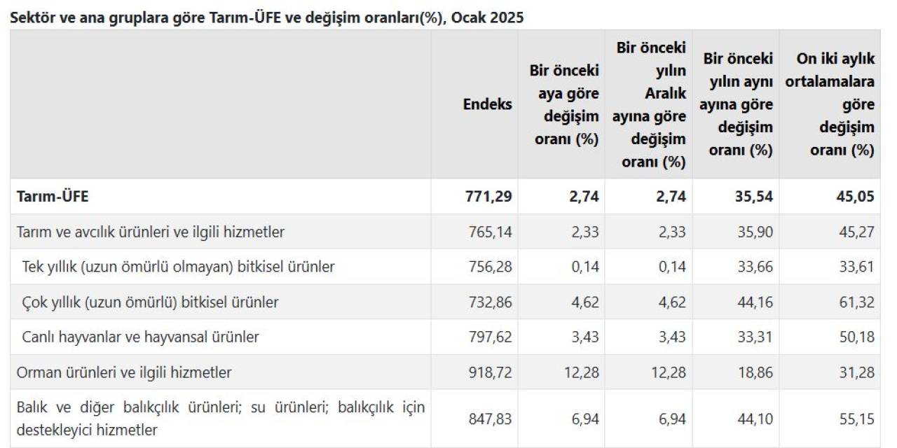 tuik-enflasyonun-sebebi-uretici-degil-dedi.jpg