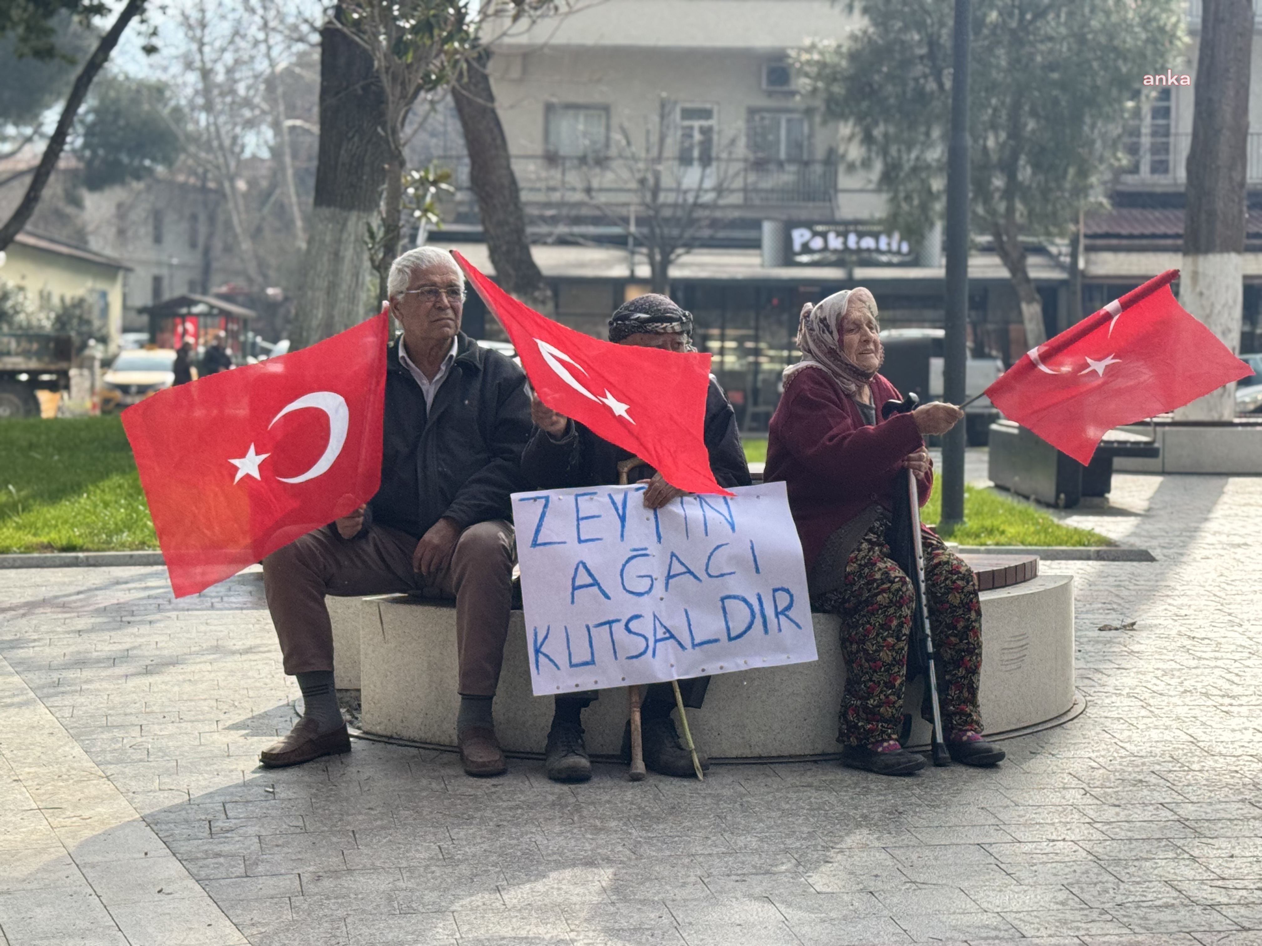 zeytinb3.jpeg