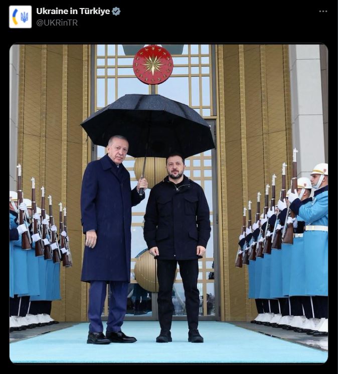 nvv.jpg
