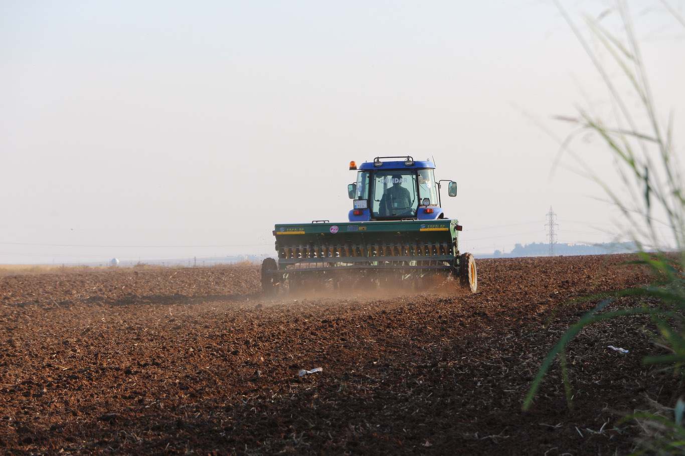 mardinde-3-milyon-donum-alana-bugday-ek-594719-175957-11zon.jpg