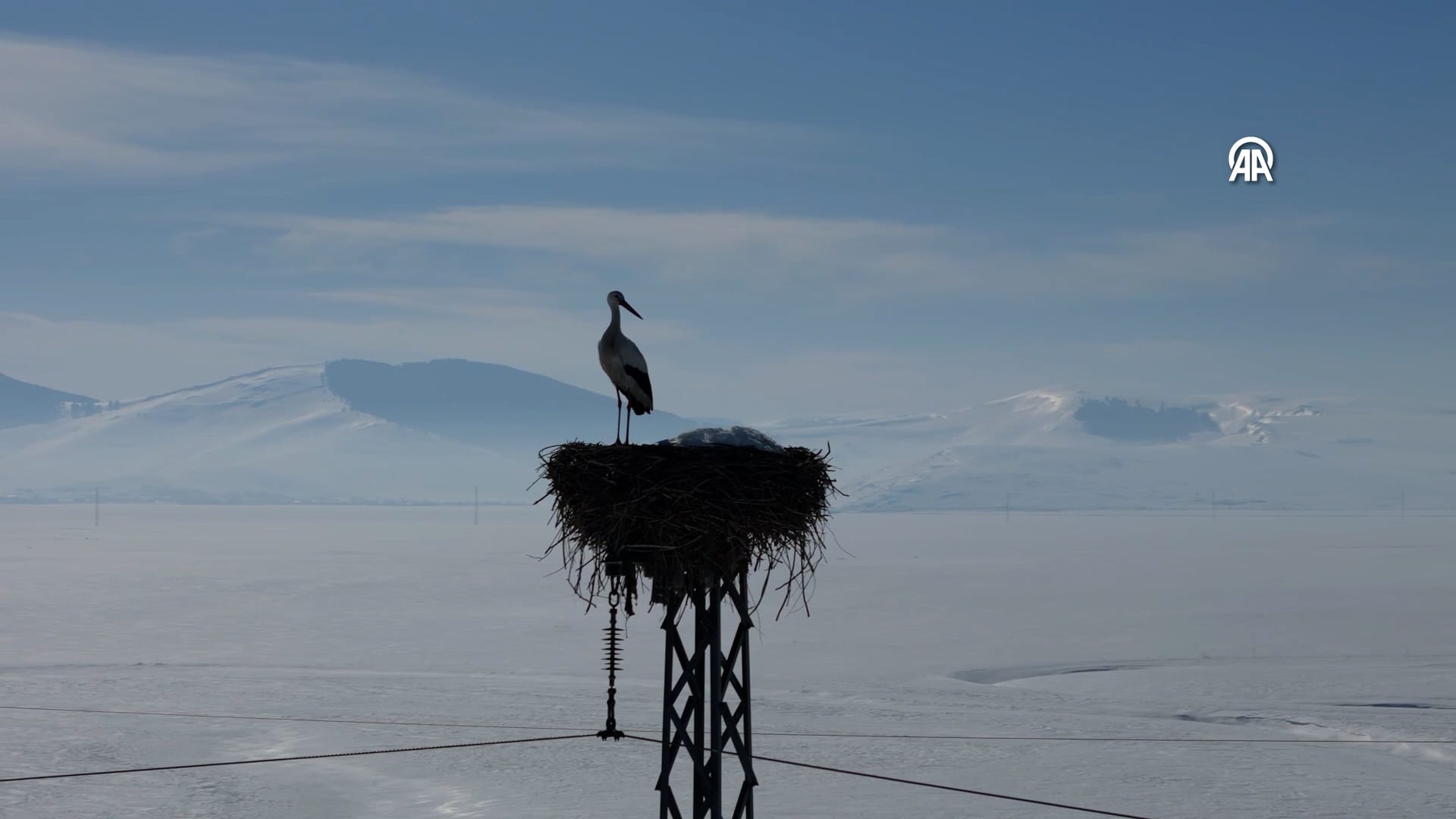 aa-20250311-37302741-37302740-ardahan-baharin-mujdecisi-leylekler-ardahandaki-yuvalarina-donmeye-basladi-00-00-06-21-still001.jpg
