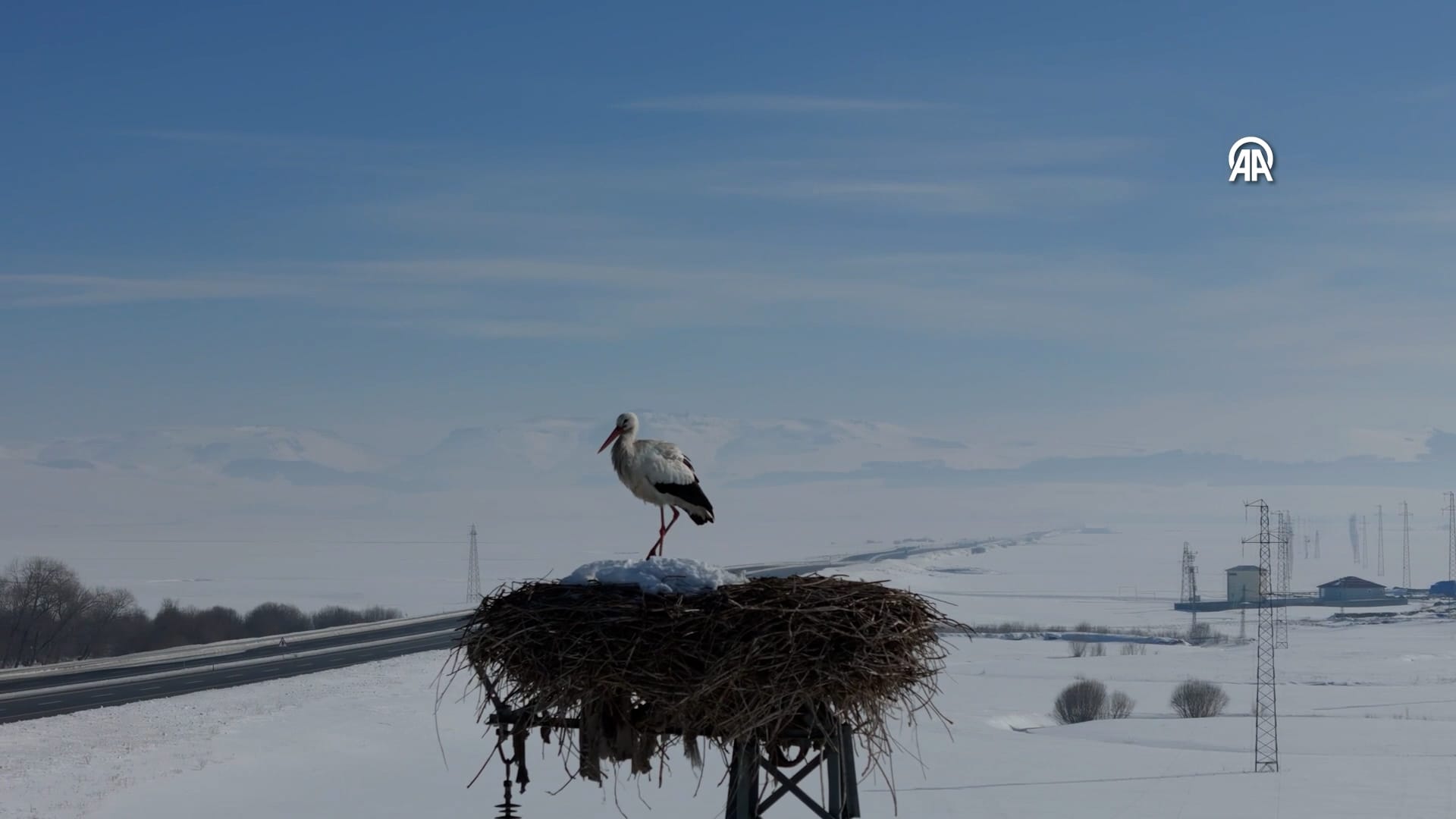 aa-20250311-37302741-37302740-ardahan-baharin-mujdecisi-leylekler-ardahandaki-yuvalarina-donmeye-basladi-00-00-27-08-still003.jpg