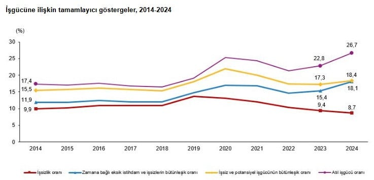 tuik-issizlik-rakamlarini-acikladi-istihdamda-surpriz-lider-3.jpg