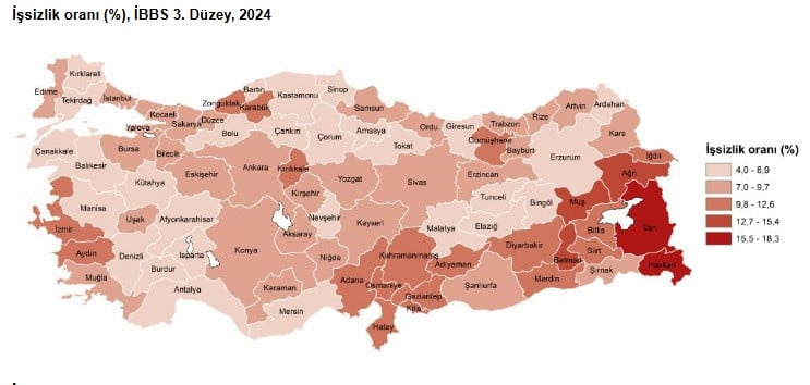 tuik-issizlik-rakamlarini-acikladi-istihdamda-surpriz-lider-4.jpg