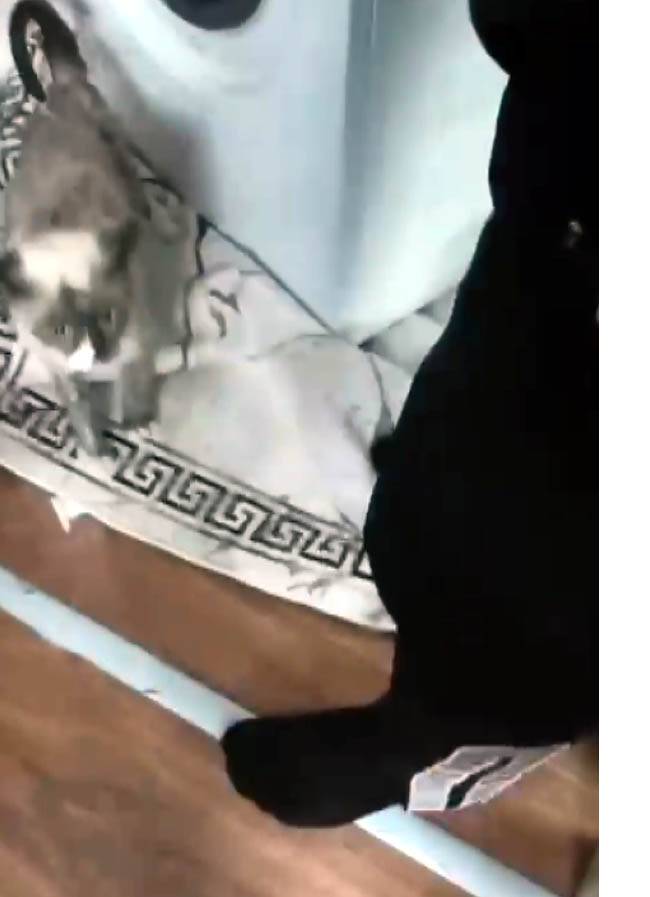 calisan-camasir-makinesinde-sikisan-kedi-644131-190844.jpg