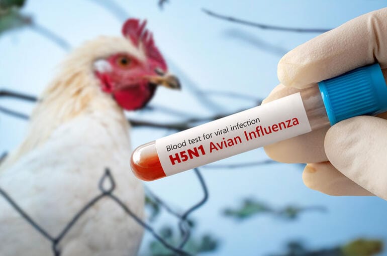 meksikada-h5n1-kaynakli-ilk-olum-649212-192336.jpg