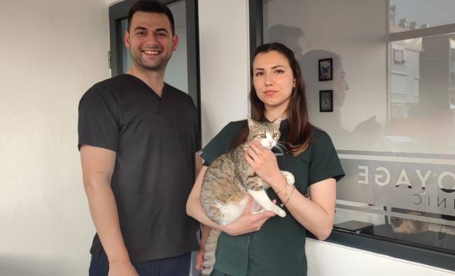 aa-20250416-37652665-37652664-aydinda-hamile-kedi-sigindigi-veteriner-kliniginde-dogum-yapti.jpg