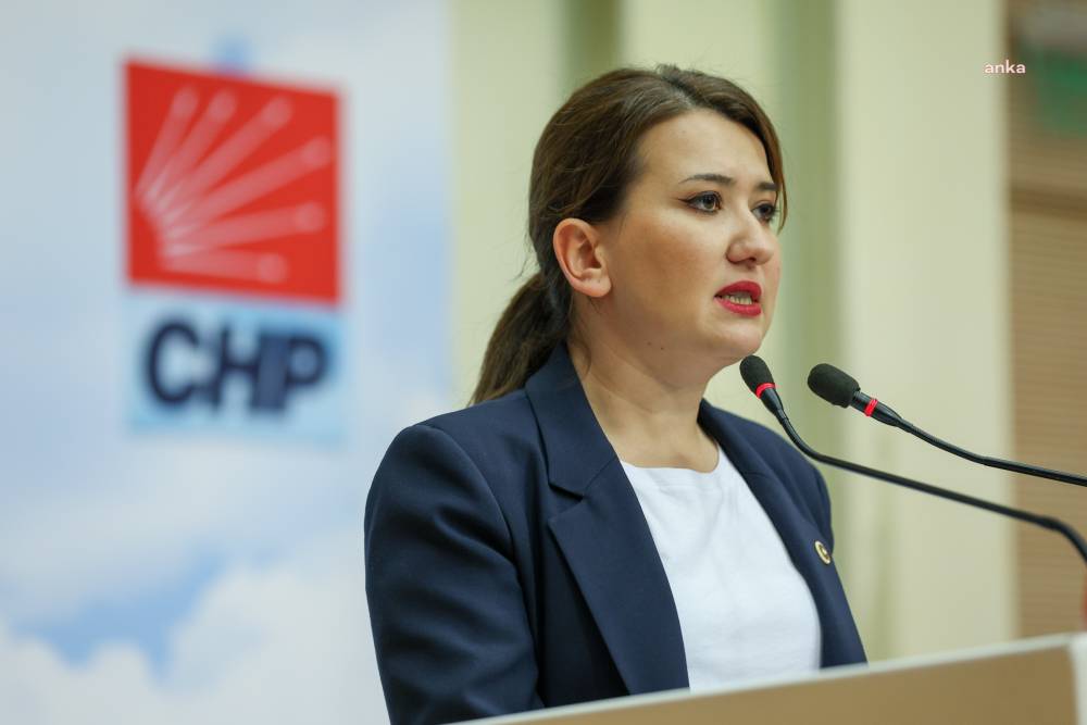 CHP'li Gökçen: Meclisin tutanaklarını sildirmek cunta rejimlerine yakışacak bir iştir