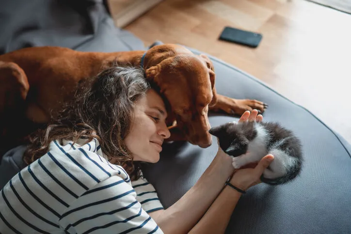 kedi-kopek5.webp
