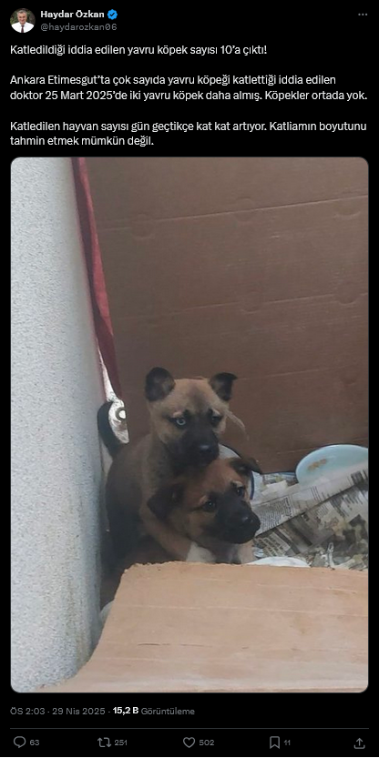 screenshot-2025-04-29-at-17-56-38-xte-haydar-ozkan-katledildigi-iddia-edilen-yavru-kopek-sayisi-10a-cikti-ankara-etimesgutta-cok-sayida-yavru-kopegi-katlettigi-iddia-edilen-doktor-25-mart-2025de-iki-yavru-kopek-daha-alm.png