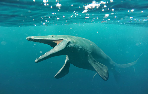 a-day-in-the-life-of-a-mosasaur-r0op-march2019-600x.webp
