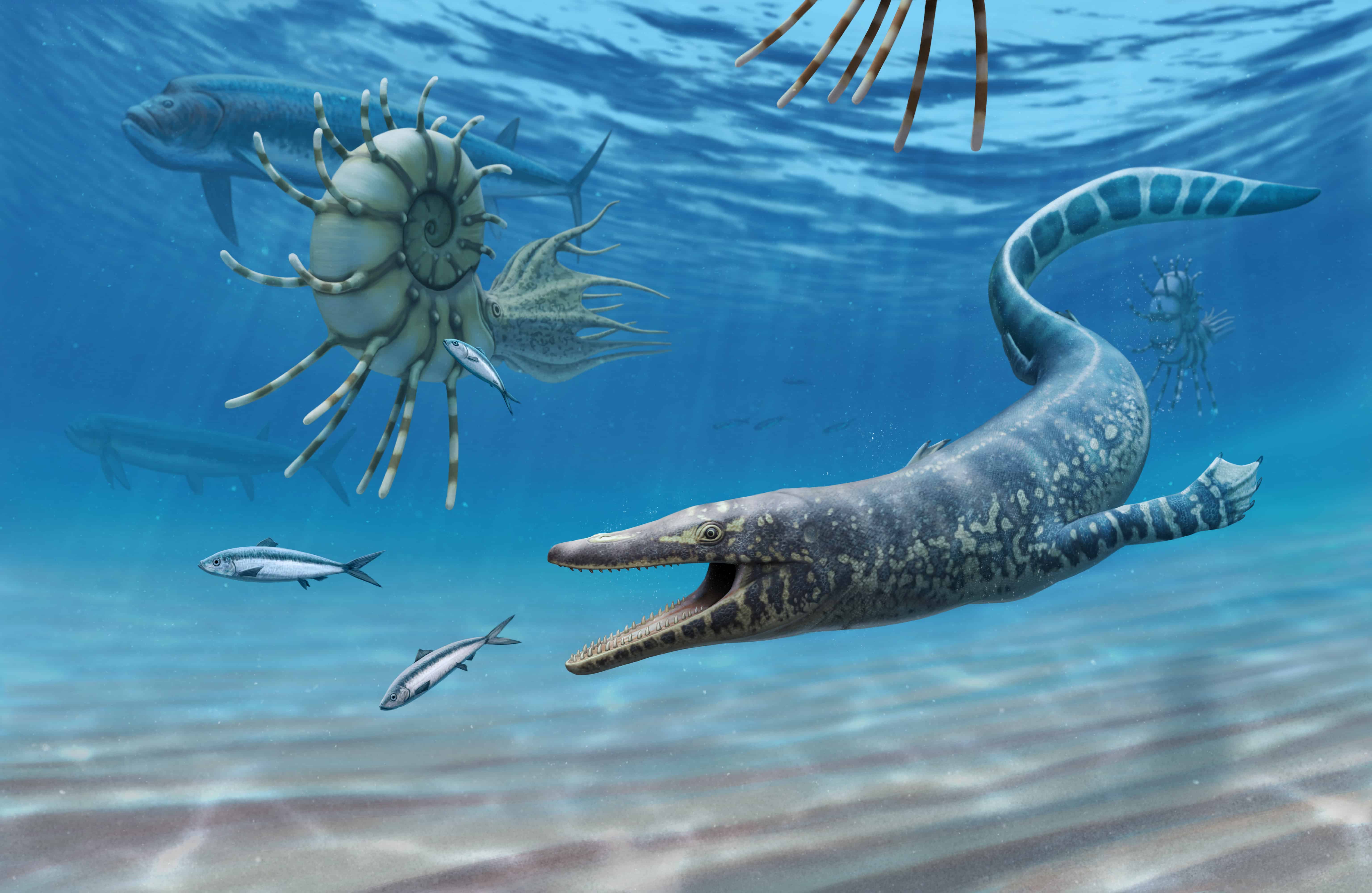mosasaur-3.jpg