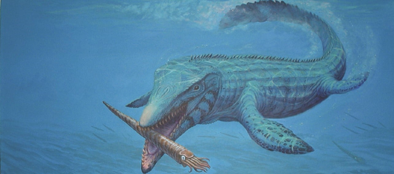 mosasaur-copy-1.jpg