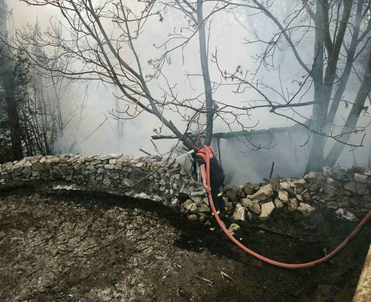 kutahyada-4-kumes-yandi-100-tavuk-oldu-705133-208711.jpg