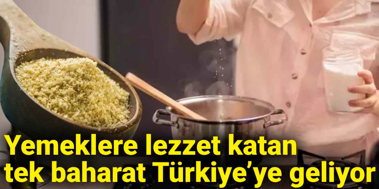 whatsapp-image-2025-05-15-at-11-19-12-001.jpeg