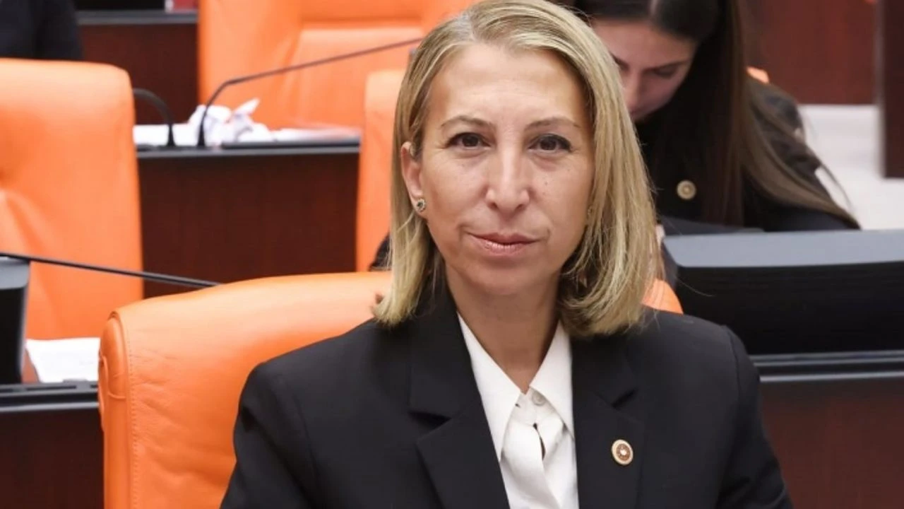 CHP Muğla Milletvekili Süreyya Öneş Derici