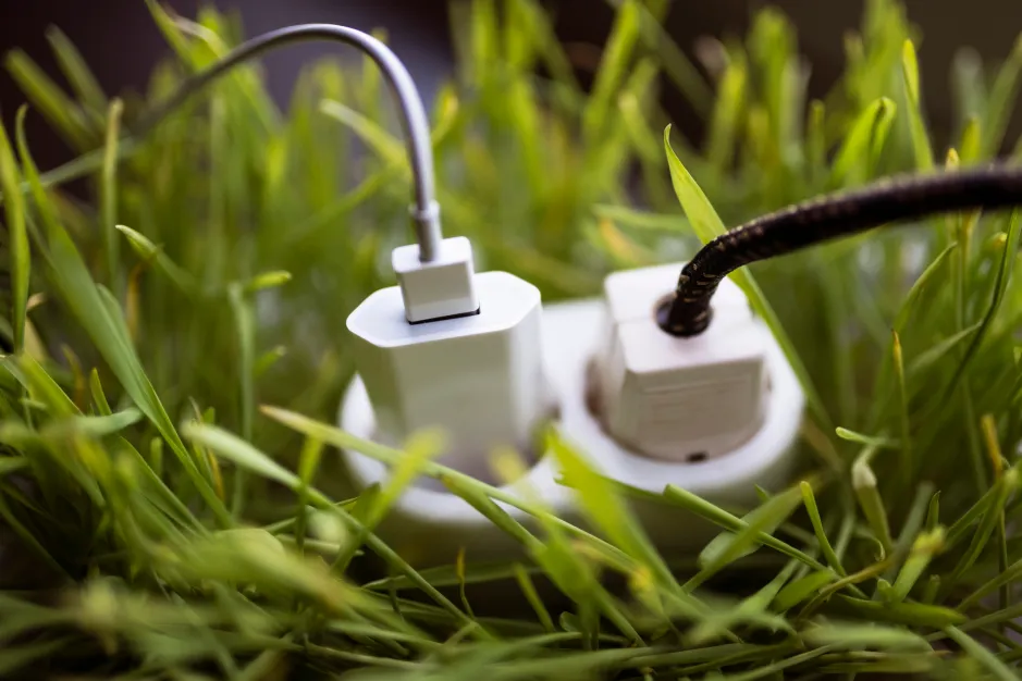 extension-cord-grass-995308398.webp