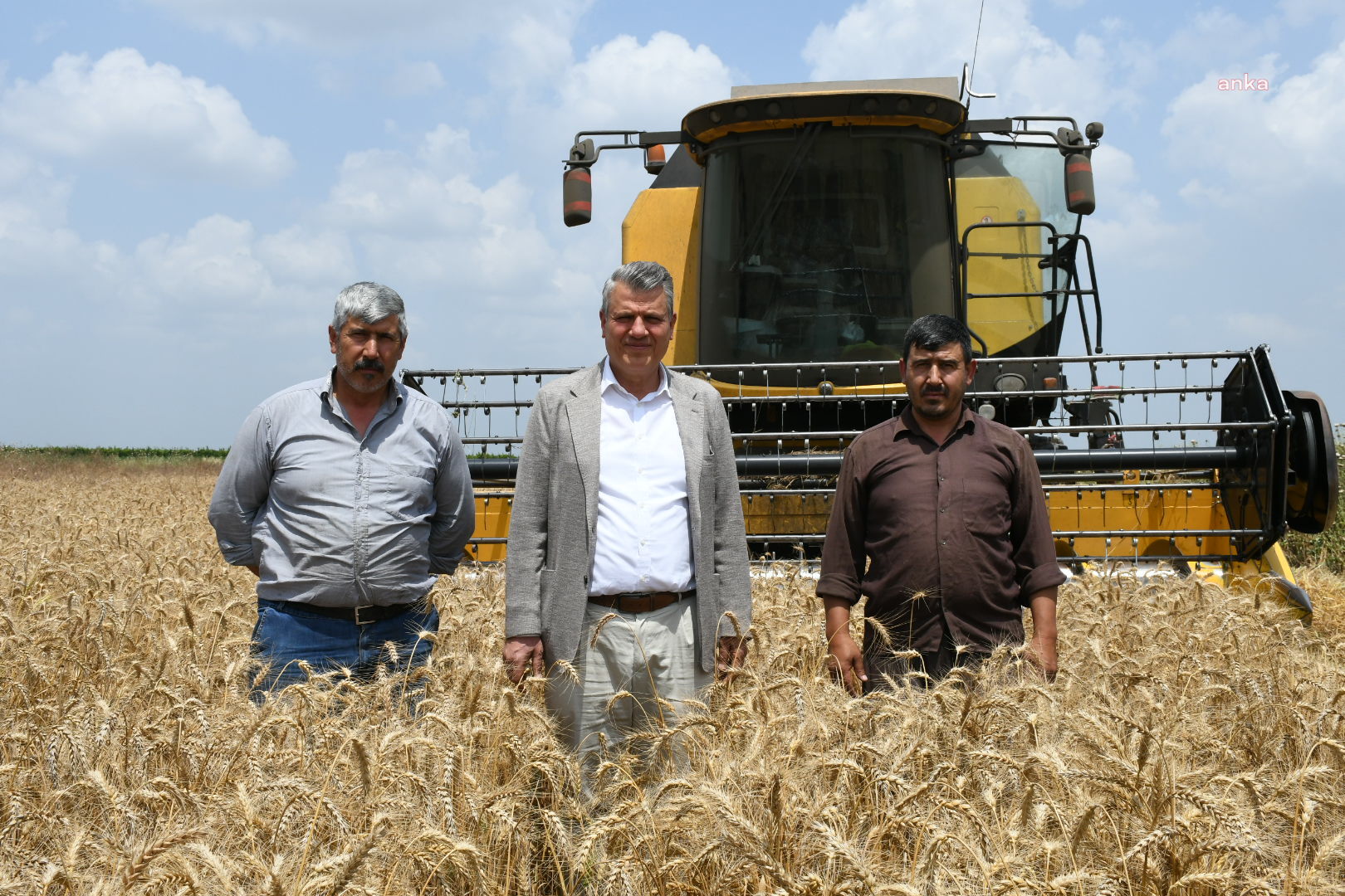 Buğday Hasadı