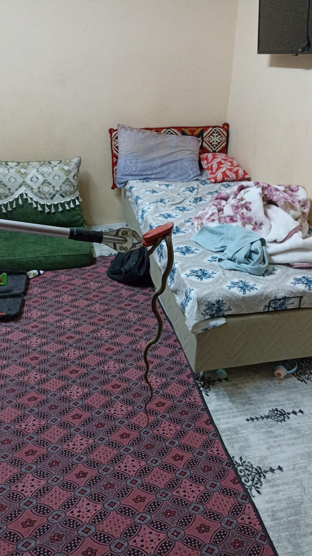 eve-giren-yilan-itfaiye-gorevlilerince-723844-213903.jpg