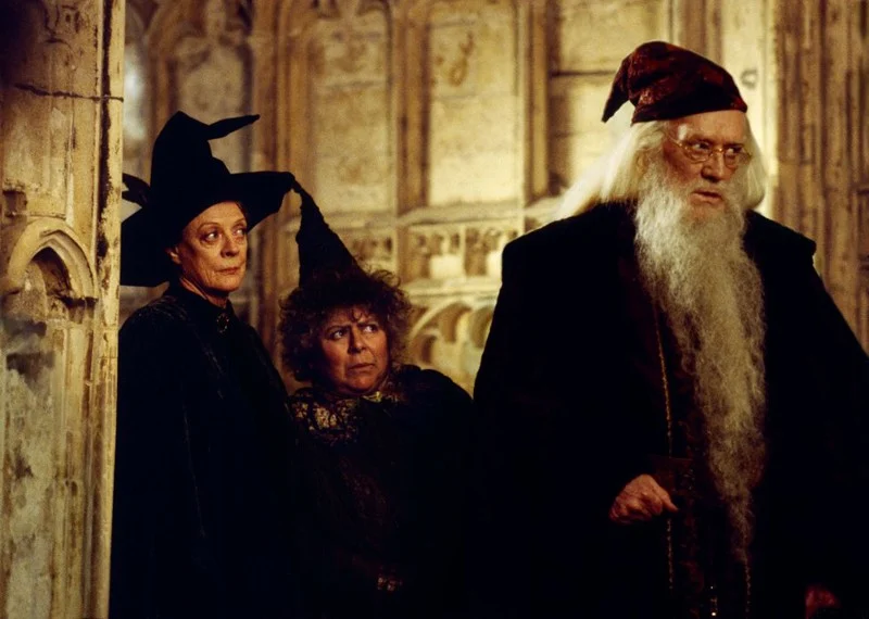 maggie-smith-miriam-margolyes-e-richard-harris-in-una-scena-di-harry-potter-e-la-camera-dei-segreti-5523-jpg-1200x0-crop-q85.webp