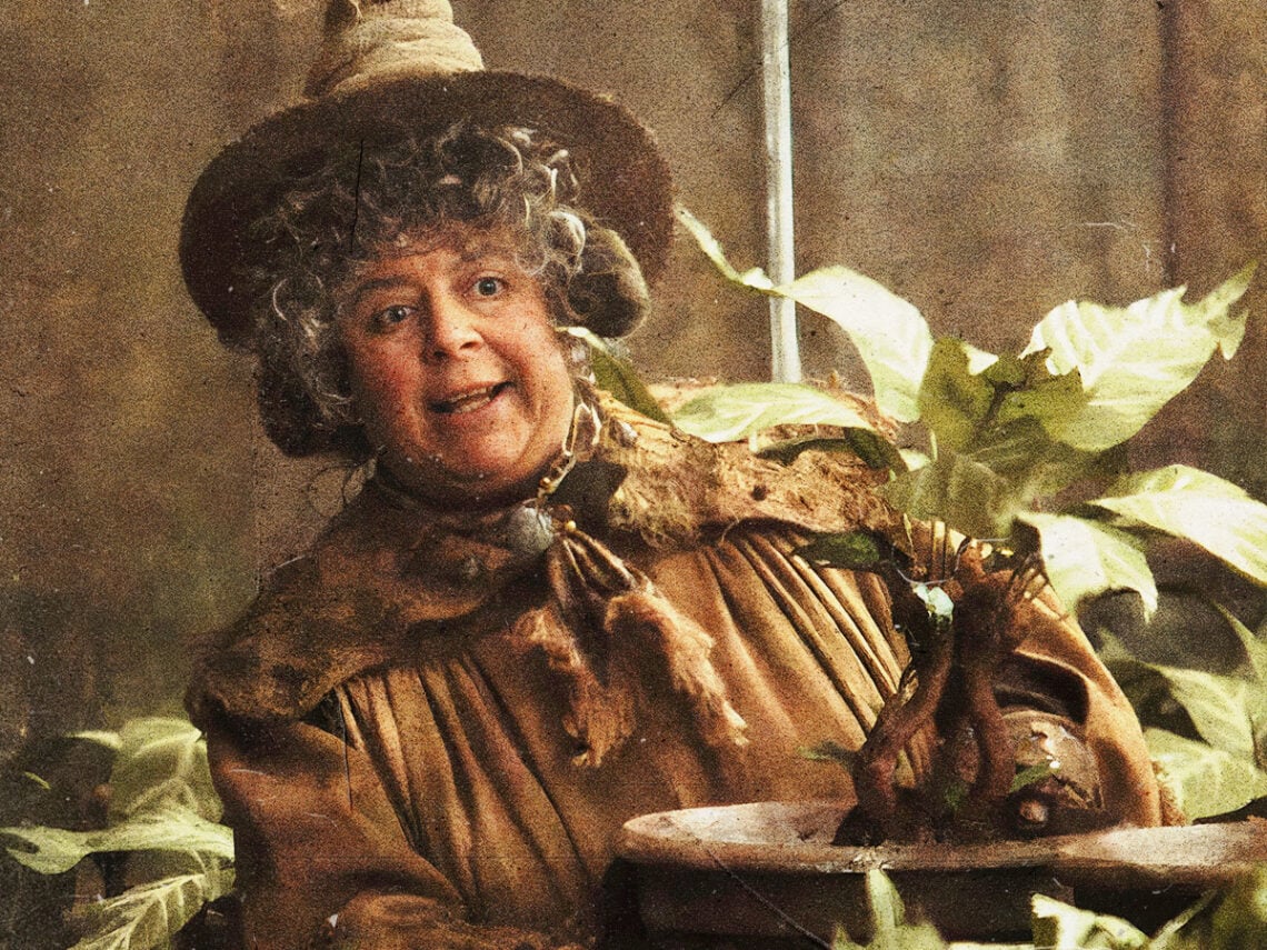 miriam-margolyes-professor-sprout-harry-potter-far-out-magazine-f-1140x855.jpg