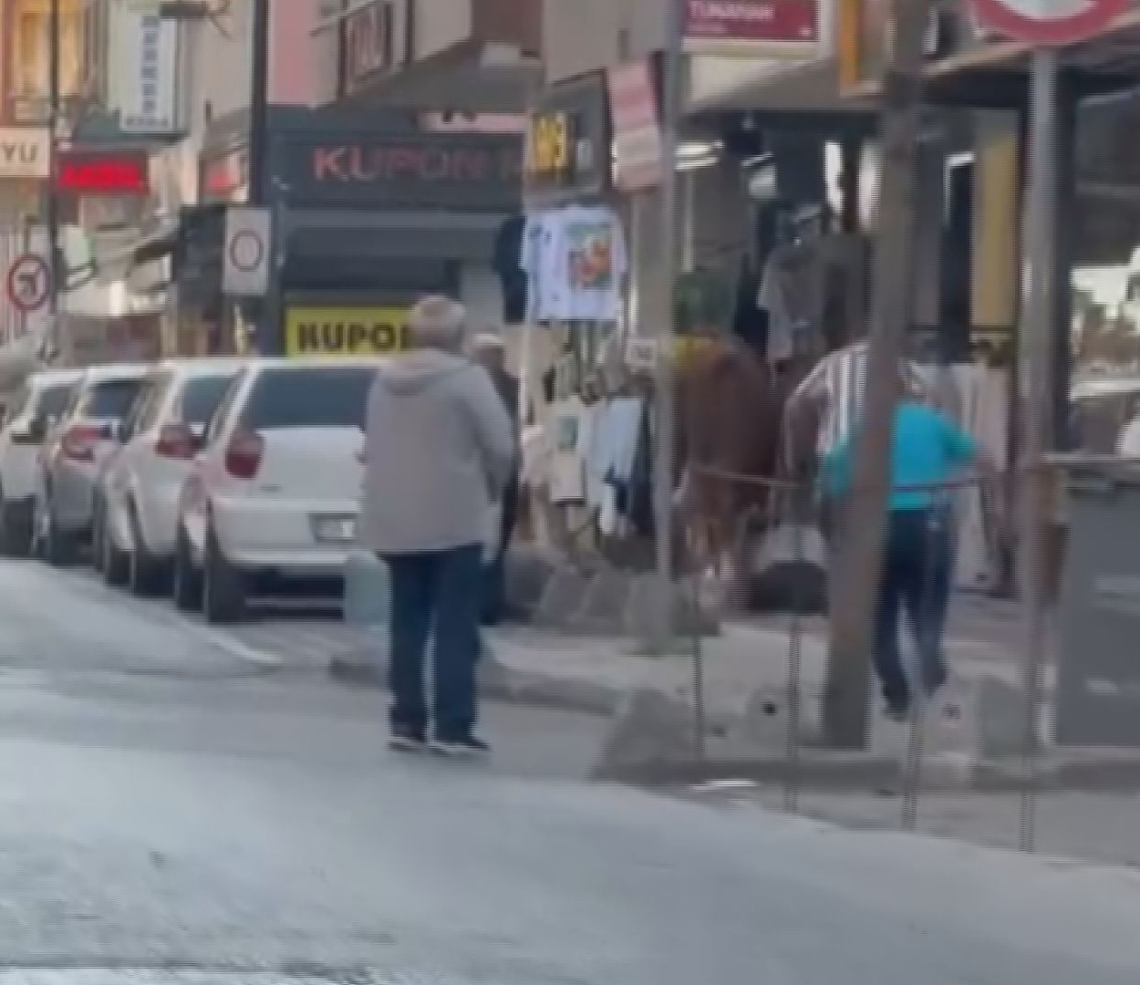 istanbul-umraniyede-pazardan-kacan-ku-752888-222216.jpg