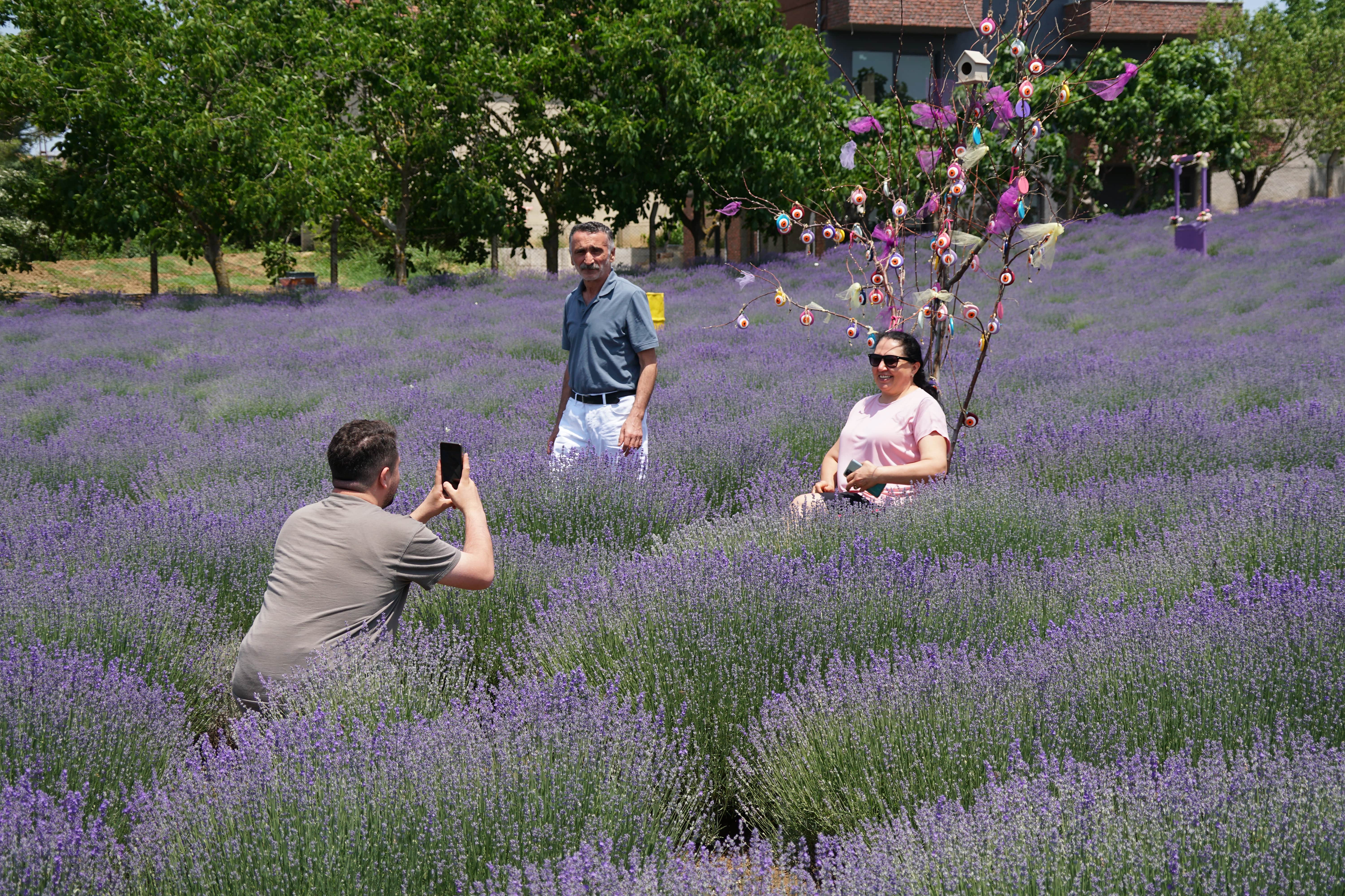 aa-20250607-38212832-38212827-tekirdagda-mor-renkli-tarlalar-bayramda-ziyaretcilerini-agirliyor-min.jpg