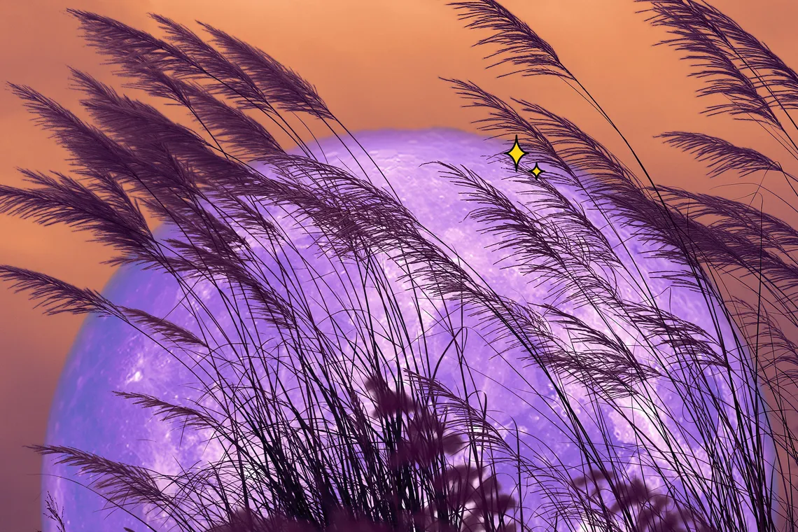 5c2468f6cc68e025cd814e30af7aef85-ce-2367x1578x2x0-cropped-1140x760.webp