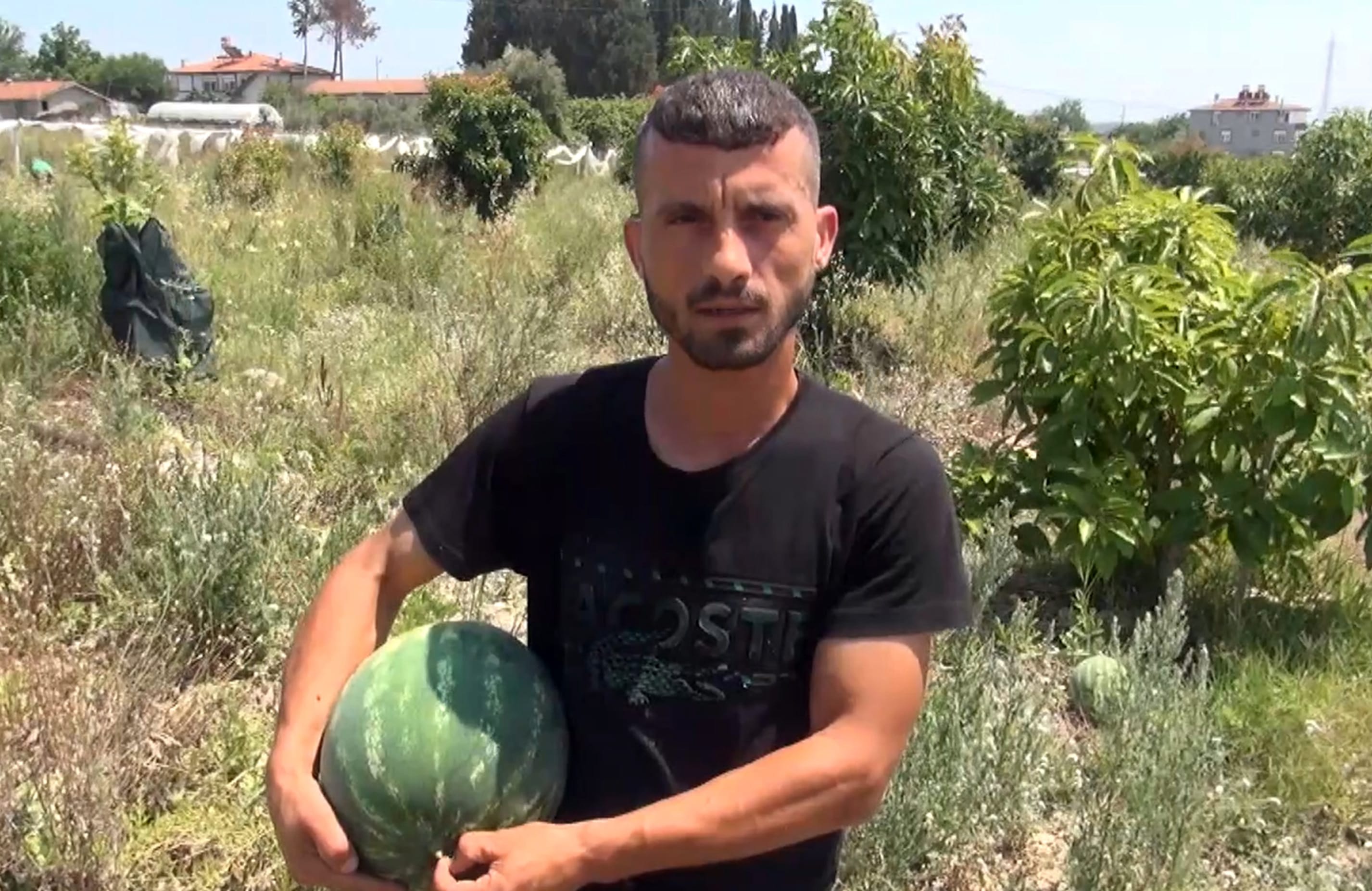 tarladaki-karpuzlari-vatandasa-ucretsiz-778483-230128.jpg