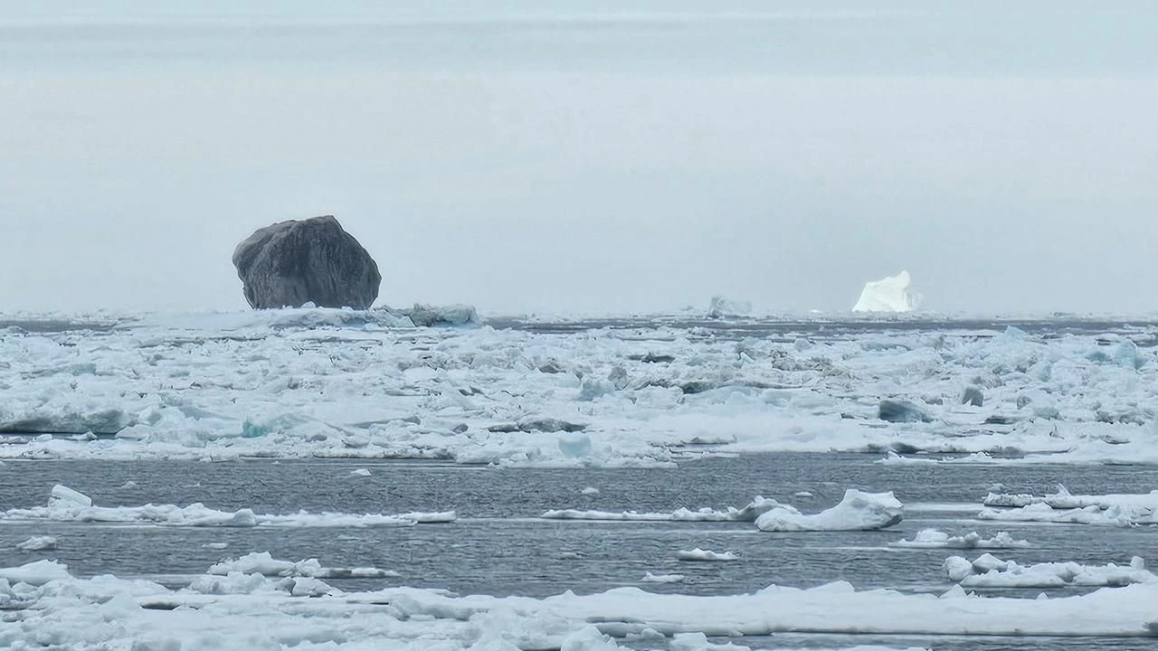 Black Iceberg