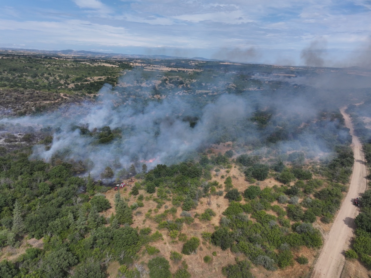 aa-20250628-38412678-38412676-edirnede-cikan-orman-yanginina-mudahale-ediliyor.jpg