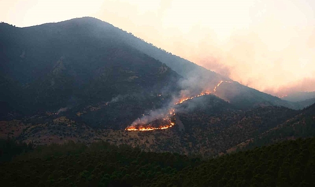 kahramanmarastaki-orman-yangini.jpg