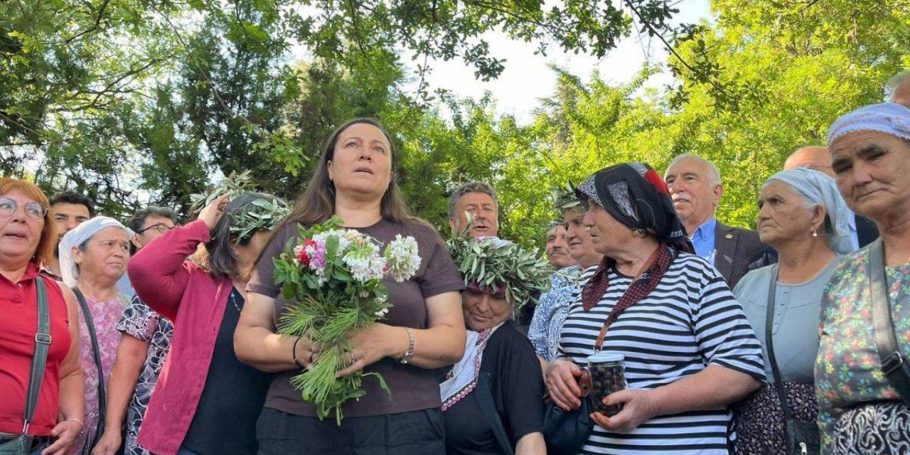 akpli-vekiller-zeytinlikler-icin-harekete-gecti-eksiksiz-savunacaklar-2.jpg