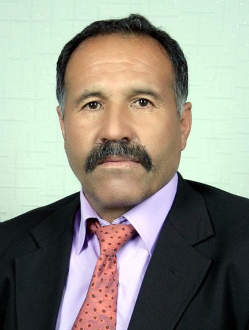 Bolu'da 69 yaşındaki işçi kestiği ağacın altında kalarak can verdi