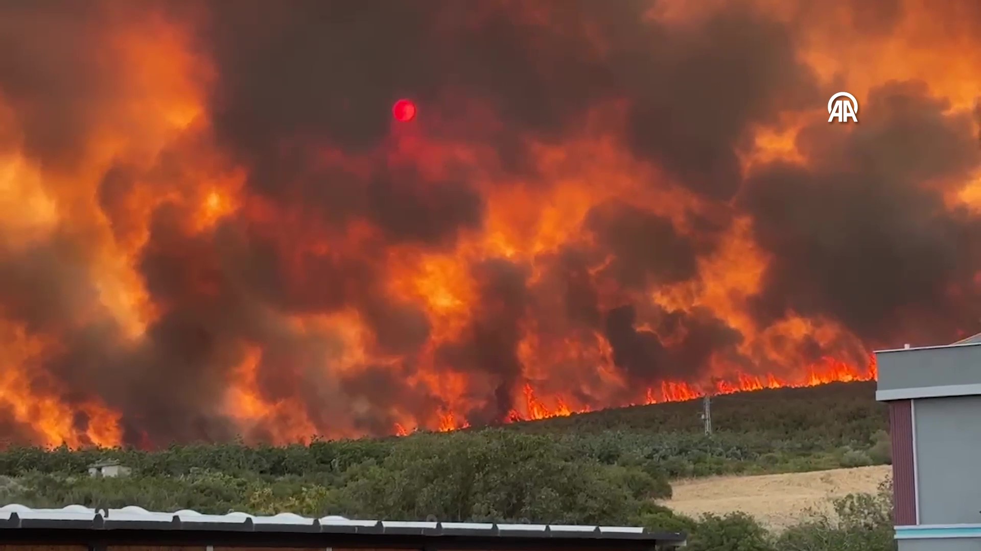 aa-20250715-38569742-38569741-tekirdag-aniz-yangini-ormana-sicradi-5-frame-at-0m22s.jpg