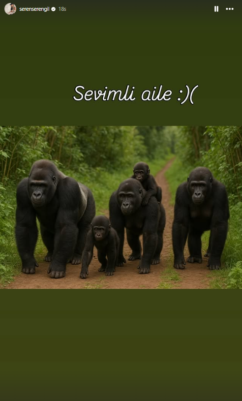 ekran-alintisi-002.png