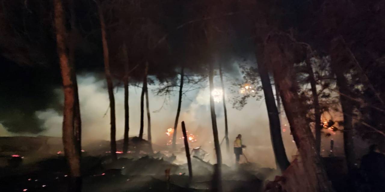 bilecikte-bir-orman-yangini-daha-bu-kez-samanliktan-basladi-5.jpg