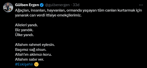 gulben-ergen.png