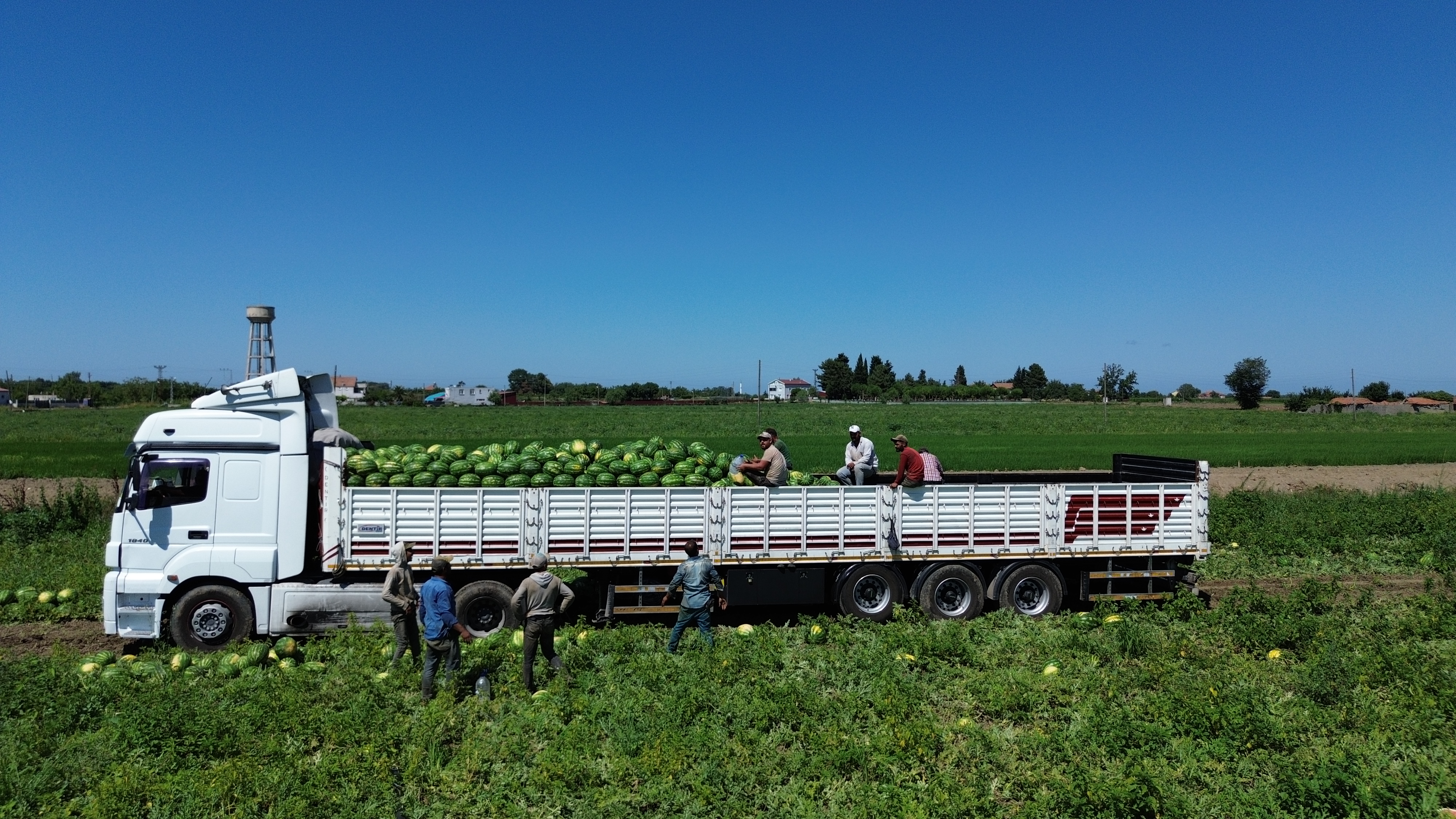 aa-20250726-38666268-38666263-bafra-ovasinda-94-bin-500-ton-karpuz-rekoltesi-bekleniyor.jpg